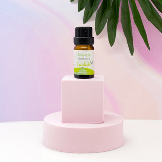 Eucalyptus Essential Oil